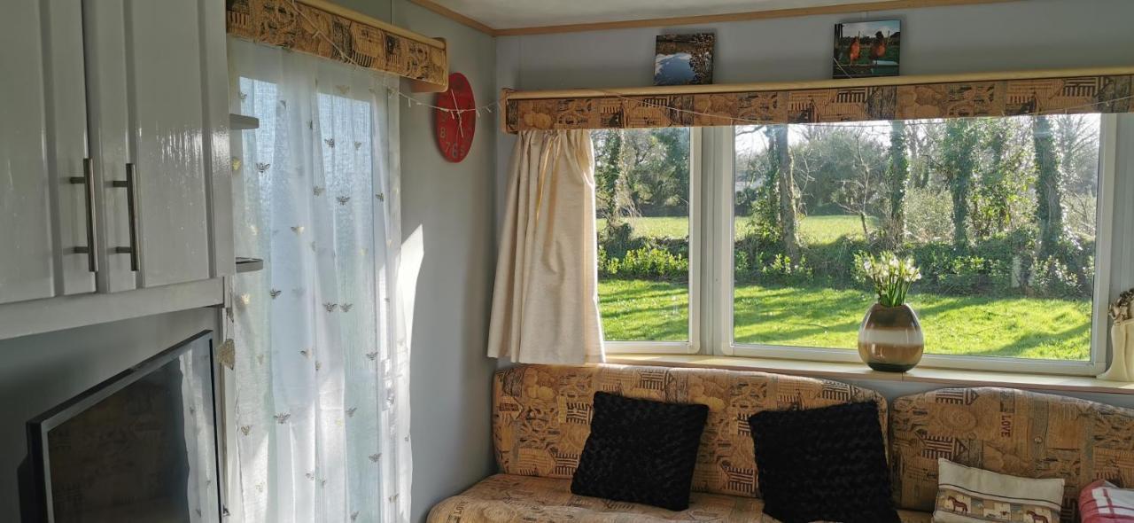 Rosebud Flower Farm Caravan Stay Countryside And Coast Penzance Eksteriør billede